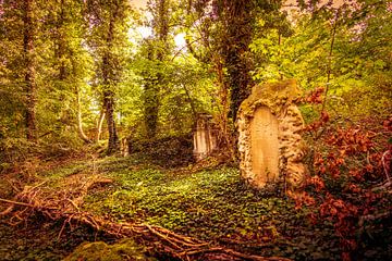 Verloren plek/verlaten oude begraafplaats van Thomas Grünewald
