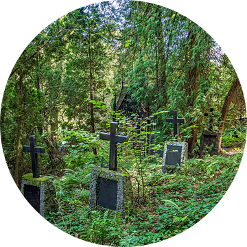 Verborgen rustplaats diep in het bos