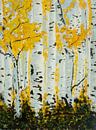 Golden Birch Forest by Karin Frenay thumbnail
