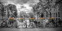 AMSTERDAM Herengracht | Panorama  van Melanie Viola thumbnail