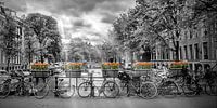 AMSTERDAM Herengracht | Panorama 