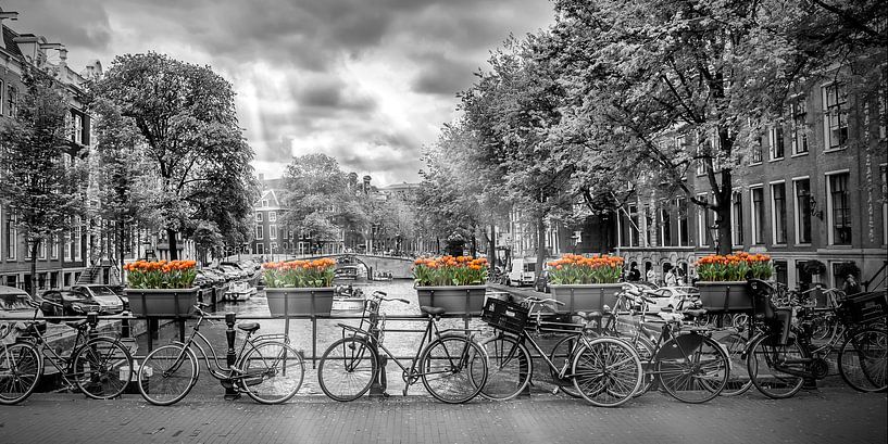 AMSTERDAM Herengracht | Panorama  par Melanie Viola
