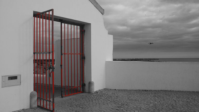 Red Fence by Winfried Weel