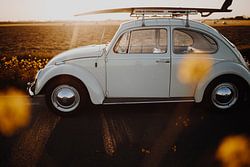 VW Käfer 1964