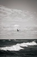 Kitesurfer in Denemarken