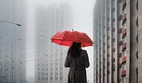 Artificial cities