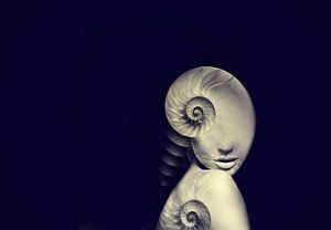 Dame aux coquillages