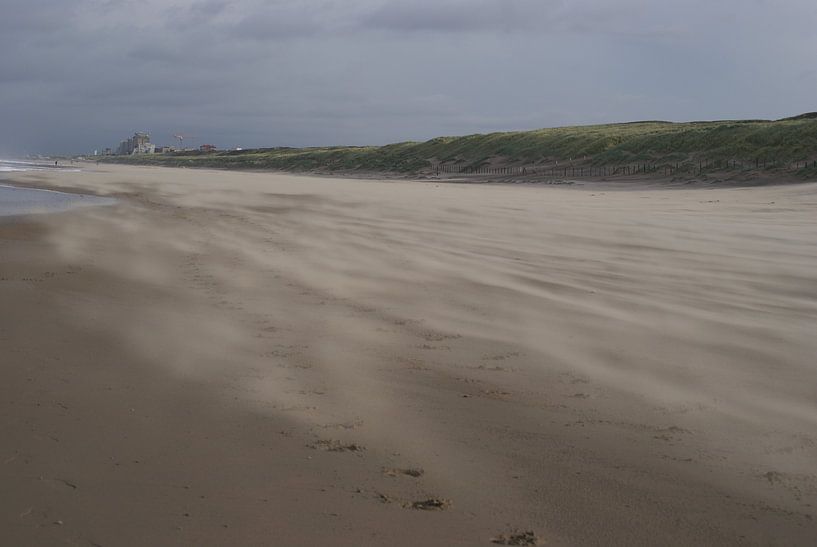 strand by Bri V beelen