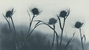Chardons en noir et blanc