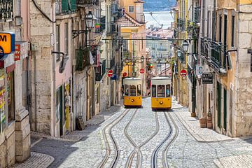 Two old yellow trams meet in Lisbon by Tilo Grellmann
