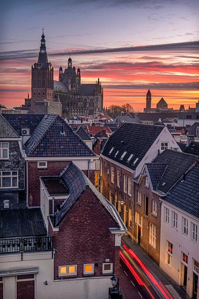 Looking over Den Bosch by Tim Doomernik