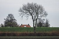 Roof over the dike at Pieterburen