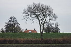 Roof over the dike at Pieterburen by Paul van Putten