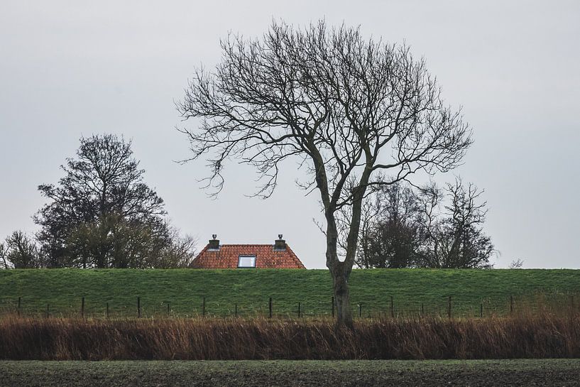 Dach über dem Deich bei Pieterburen von Paul van Putten