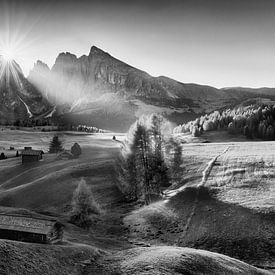 L'ambiance de l'Alpe de Siusi dans les Dolomites en noir et blanc. sur Manfred Voss, Schwarz-weiss Fotografie