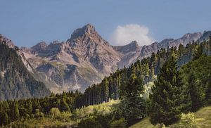 Le paysage des montagnes autrichiennes