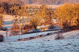 Cottessen by Rob Boon