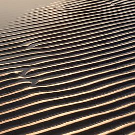 Paysage de sable en mer avec soleil du soir sur Tot Kijk Fotografie: natuur aan de muur
