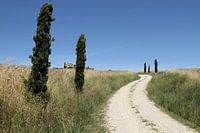 Toscaans landschap
