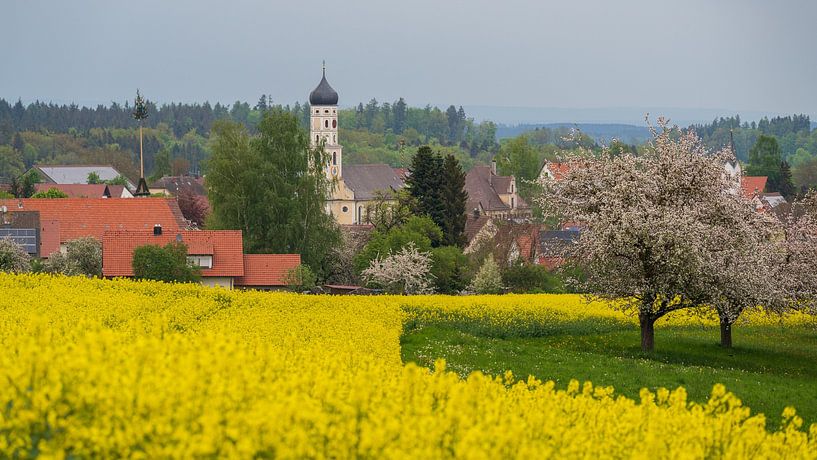 City Attenweiler in spring by Daniel Pahmeier