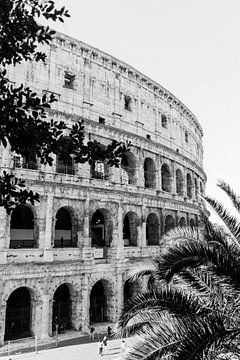 Colosseum Rome van Suzanne Spijkers