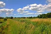 Zomer in de Amerongse Bovenpolder