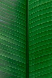 Felgroen blad van Simone Neeling