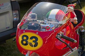 Ducati 250cc mono-cilinder met Pothelm en Knuffel van Rob Boon