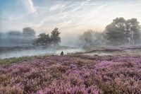 Groote Heide North Brabant