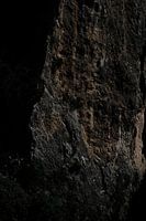 Monolithe
