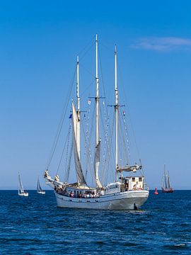 Zeilschepen op de Oostzee tijdens de Hanse Sail in Rostock