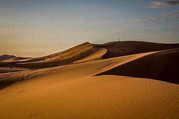 Morning sun in the desert by Peter Vruggink