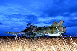 Seagull  sur Dimitri Declercq