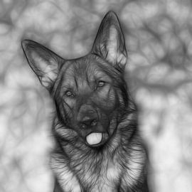 Black and white edited portrait German Shepherd by Michar Peppenster