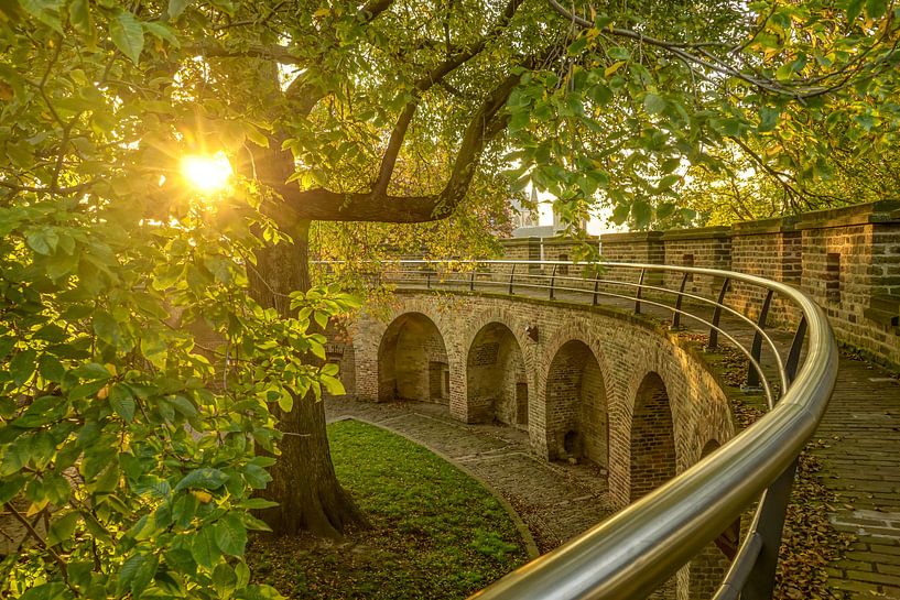 Burcht Leiden von Dirk van Egmond