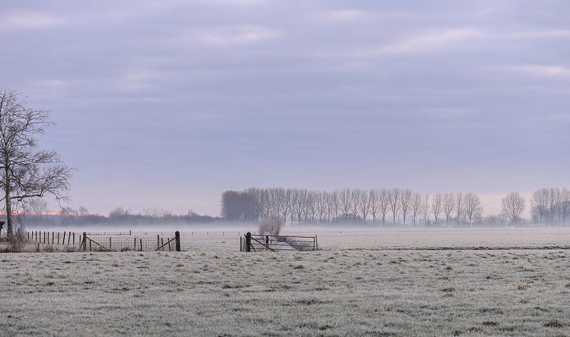 cold countryside by Tania Perneel