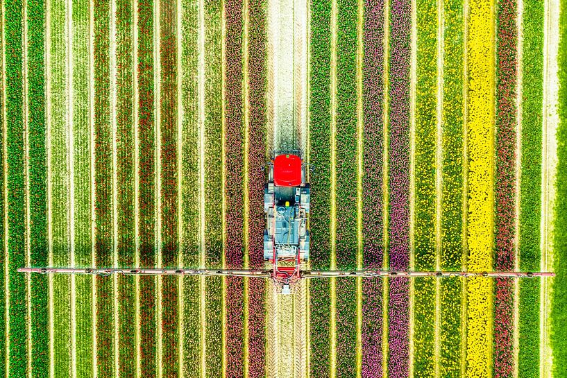 Landbouw onkruidspuiter in een tulpenveld van Sjoerd van der Wal Fotografie