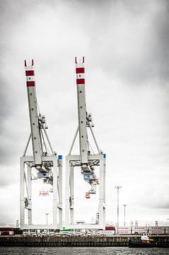 Two Container Lifts by Tony Buijse