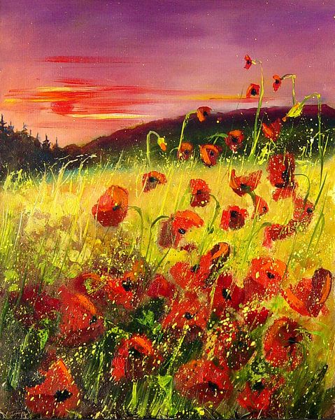 Poppies by pol ledent