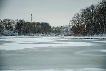 Verschneiter See im Wilhelminapark, Rijswijk von Erwin van Kester
