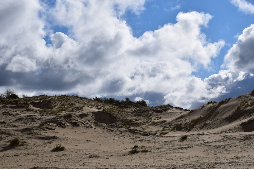 Zanderige duinen van Amber van den Broek