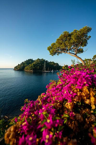 Flowery coast in Portofino by Leo Schindzielorz