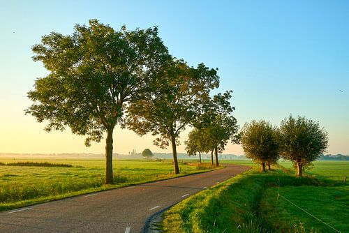 Sonnenaufgang auf dem Land in der Nähe von Nunspeet