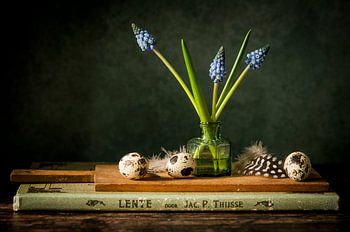 Frühlingsstilleben mit blauen Weintrauben