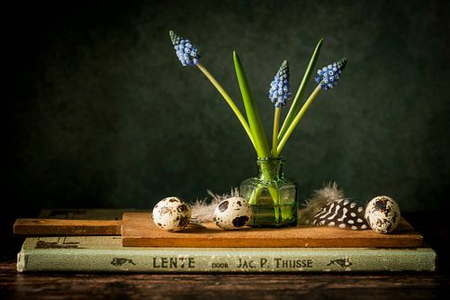 Frühlingsstilleben mit blauen Weintrauben von Mevrouw KiekkieK