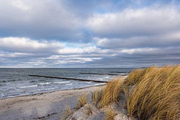 Groynes on the coast of the Baltic Sea on Fischland-Darß by Rico Ködder