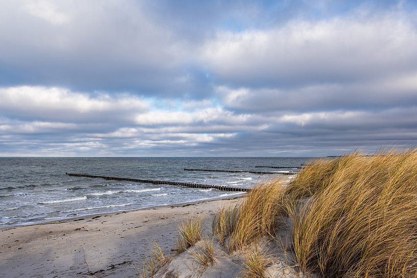 Kribben aan de kust van de Oostzee in Fischland-Darß van Rico Ködder