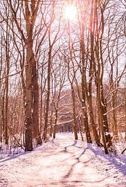 Winter Snow 2021 Kralingse Bos Rotterdam by Deborah de Meijer