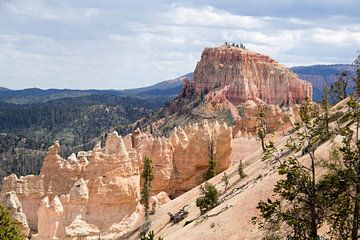 Bryce Canyon National Park by Henk Alblas