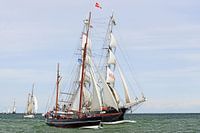 Windjammertreffen in Rostock